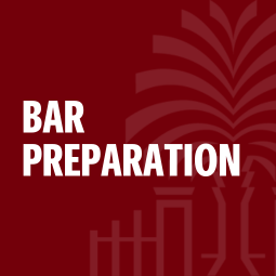 Professor Black teaching from behind a podium.