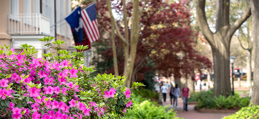 flowers blooming in front of house with state and american flag